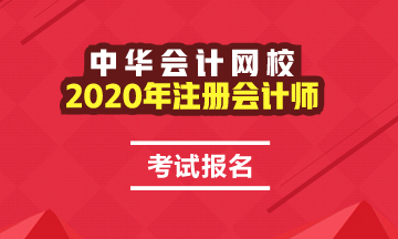 2020年注冊會計師考試報名費(fèi)用