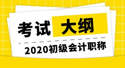 沈陽2020初級會計(jì)資格考試大綱你了解嗎