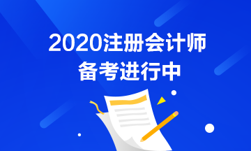 初級(jí)考試推遲了 注會(huì)也會(huì)推遲嗎？