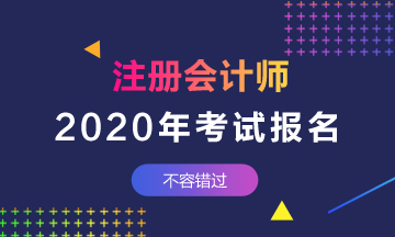 開(kāi)封注冊(cè)會(huì)計(jì)師2020年補(bǔ)報(bào)名