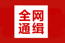 全網(wǎng)通緝：高效/無(wú)憂(yōu)定制班學(xué)員 你們老師喊你打卡學(xué)習(xí)啦！