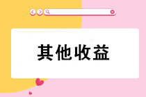 “其他收益”會(huì)計(jì)科目只核算政府補(bǔ)助？錯(cuò)！錯(cuò)！錯(cuò)！
