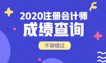 鄭州cpa2020年成績查詢時(shí)間