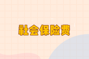 社會(huì)保險(xiǎn)費(fèi)