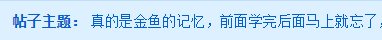 中級會計備考記不??？高分學員教你克服“金魚的記憶”