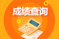 高級經(jīng)濟師2020年成績查詢時間定于何時？