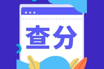 湖南2020年高級(jí)經(jīng)濟(jì)師成績(jī)查詢網(wǎng)址是哪里？