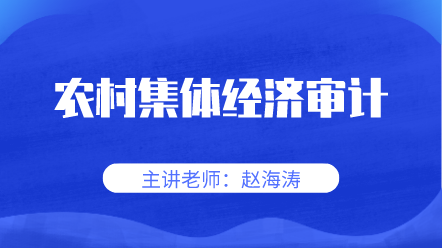 農村集體經(jīng)濟審計
