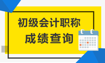 海南2020年初級會計師成績查詢官網是？