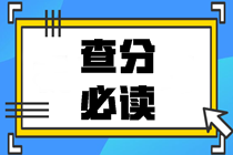 2020中級會計職稱查分總攻略：查分前中后都得注意點啥？