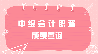 安徽亳州市中級(jí)會(huì)計(jì)師考試成績(jī)查詢(xún)2020年入口開(kāi)通！