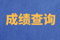 天津2020年資產(chǎn)評(píng)估師考試成績(jī)復(fù)核結(jié)果去哪里查詢？