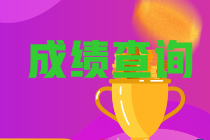 山東青島2020年中級(jí)會(huì)計(jì)成績(jī)查詢時(shí)間