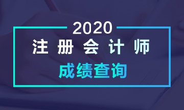 2020江蘇南京注冊(cè)會(huì)計(jì)師考試成績(jī)查詢方式是什么？
