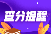 ACCA成績查詢方法 四種方法任你選！