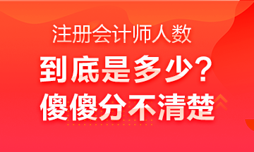 中國注冊會計師行業(yè)全國從業(yè)人員超40萬人？不是二十多萬嗎？