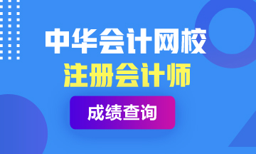 廣西2020年注冊(cè)會(huì)計(jì)師成績可以查詢啦~