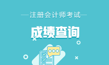 上海2020年注會成績審核結(jié)果還能查詢嗎？
