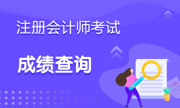 2020河南注會成績查詢?nèi)肟谝验_通！快查分>