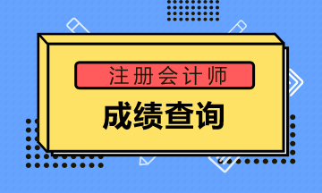 2020甘肅注冊會(huì)計(jì)師成績查詢時(shí)間出了！