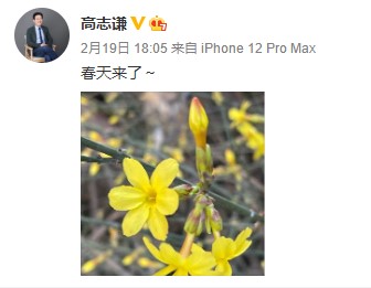 網校中級會計老師齊“報春” 花式催學你招架得住嗎？