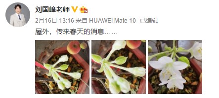網校中級會計老師齊“報春” 花式催學你招架得住嗎？