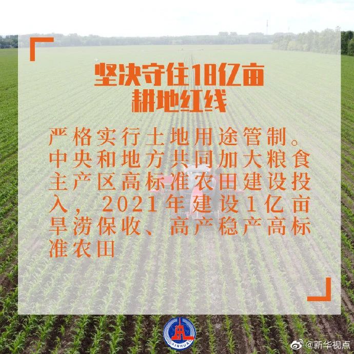 干貨滿滿！2021年中央一號文件發(fā)布，有哪些硬舉措？