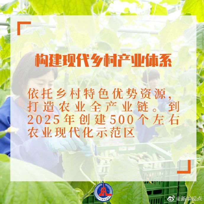 干貨滿滿！2021年中央一號文件發(fā)布，有哪些硬舉措？