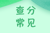 2021年中級會計考試成績查詢注意事項有什么？