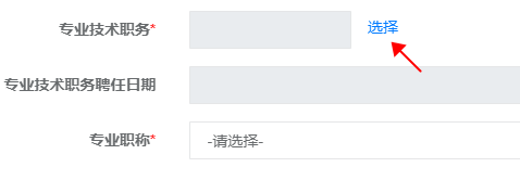 高級經(jīng)濟(jì)師專業(yè)技術(shù)職務(wù)怎么填寫？