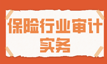 保險行業(yè)審計實務(wù)，你了解了嗎