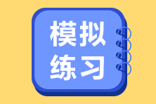高級經(jīng)濟師模擬練習