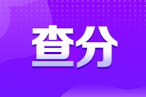 廣西2022年初級(jí)會(huì)計(jì)成績(jī)查分入口你了解嗎？
