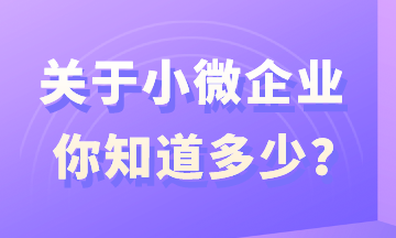 關(guān)于小微企業(yè)，你知道多少？