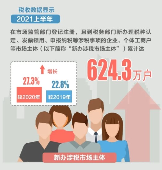 2021上半年新辦涉稅市場主體有哪些亮點？為你揭秘