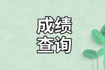 初級(jí)審計(jì)師考試成績(jī)查詢