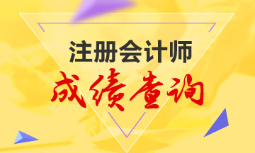 貴州黔南布依族苗族自治州注會(huì)成績(jī)查詢(xún)時(shí)間你知道嗎？