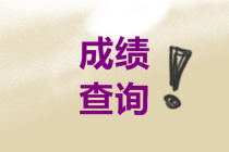關(guān)于2021年中級(jí)會(huì)計(jì)考試成績(jī)查詢你了解多少？