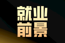 注冊會計師有哪些崗位選擇和發(fā)展路線？