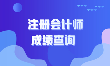 青海注冊會計師查分時間來啦！