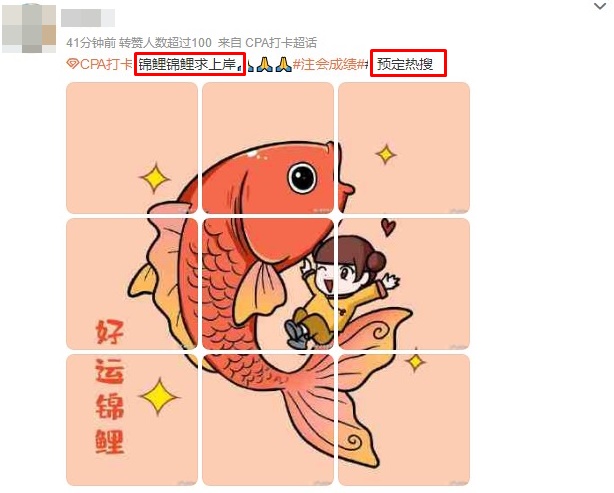 CPA成績(jī)出分了？預(yù)祝每一位注會(huì)考生“錦鯉附體”！