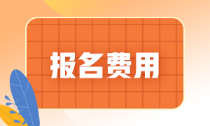 海南省2022年初級會計(jì)報名費(fèi)是多少錢？