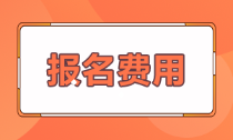 貴州省初級(jí)會(huì)計(jì)職稱2021年報(bào)名費(fèi)多少？