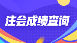 甘肅2021注冊(cè)會(huì)計(jì)師成績查詢?nèi)肟谠谶@！