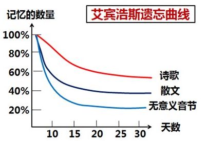 “注會知識點學(xué)完就忘怎么辦？如何能提高記憶力？