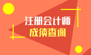 湖南注冊(cè)會(huì)計(jì)師考試成績(jī)查詢！