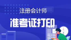 2022注會(huì)考試什么時(shí)候打準(zhǔn)考證？