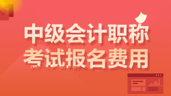 中級(jí)會(huì)計(jì)考試報(bào)名費(fèi)用 中級(jí)會(huì)計(jì)考試報(bào)名費(fèi)用