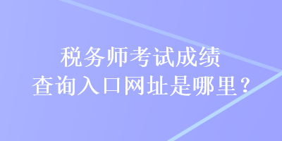 稅務(wù)師考試成績查詢?nèi)肟诰W(wǎng)址是哪里？