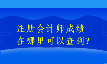 注冊會計師成績在哪里可以查到？